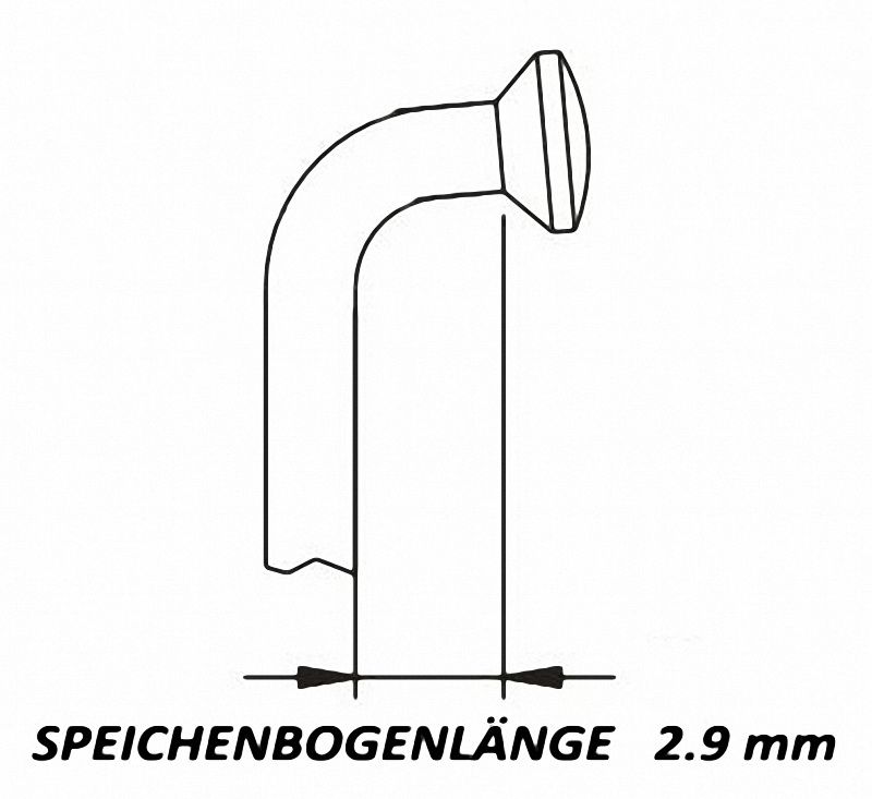 RACE DD-Speiche für Rohloff silber
