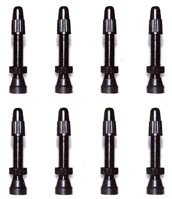 Tubeless Ventile - Paar