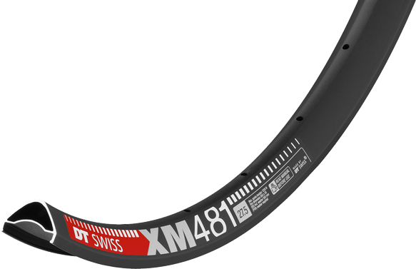 DT SWISS Felge XM 481 Disc-Brake